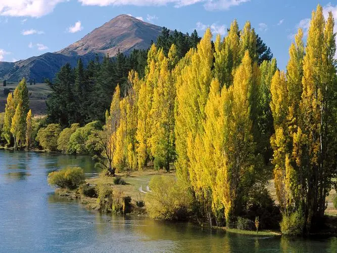 绿色智慧工厂精密